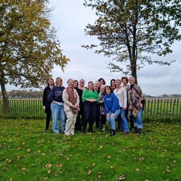 Het team professionals